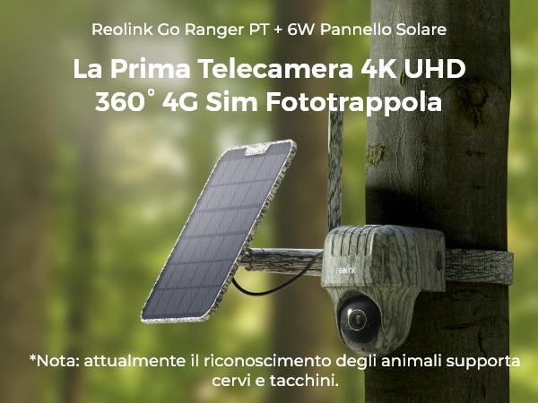 Videocamera ruotabile mimetica Reolink Go Ranger PT completa di pannello solare