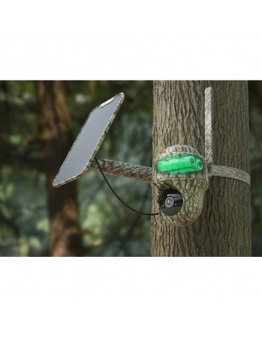 Videocamera ruotabile mimetica Reolink Go Ranger PT completa di pannello solare - immagine 4
