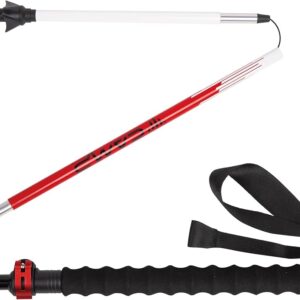 CAMP BASTONCINI SONIC ALU PLUS