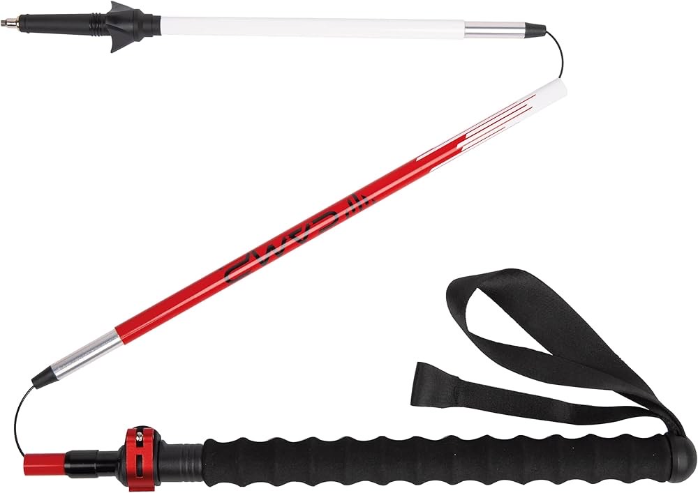 CAMP BASTONCINI SONIC ALU PLUS