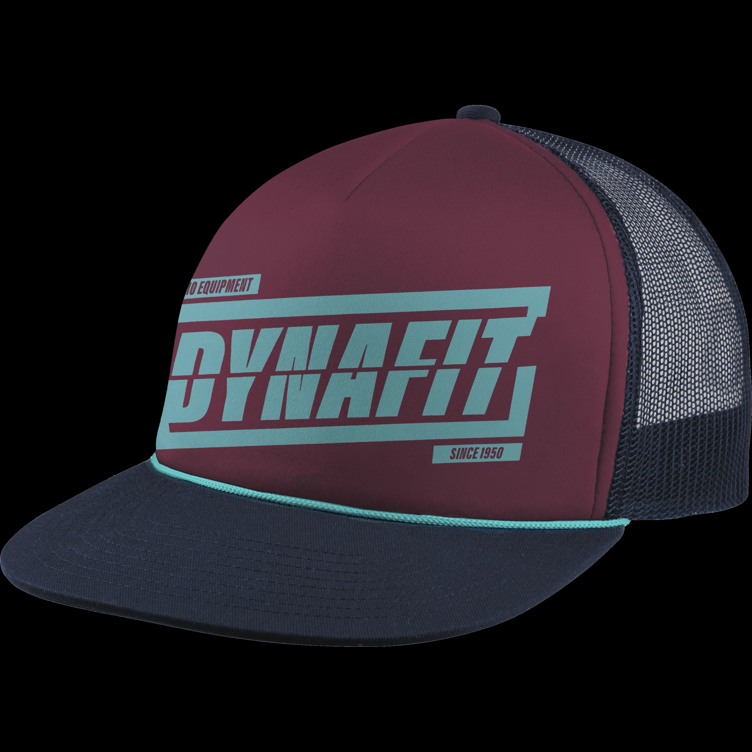 CAPPELLINO DYNAFIT Graphic Trucker Cap - immagine 3
