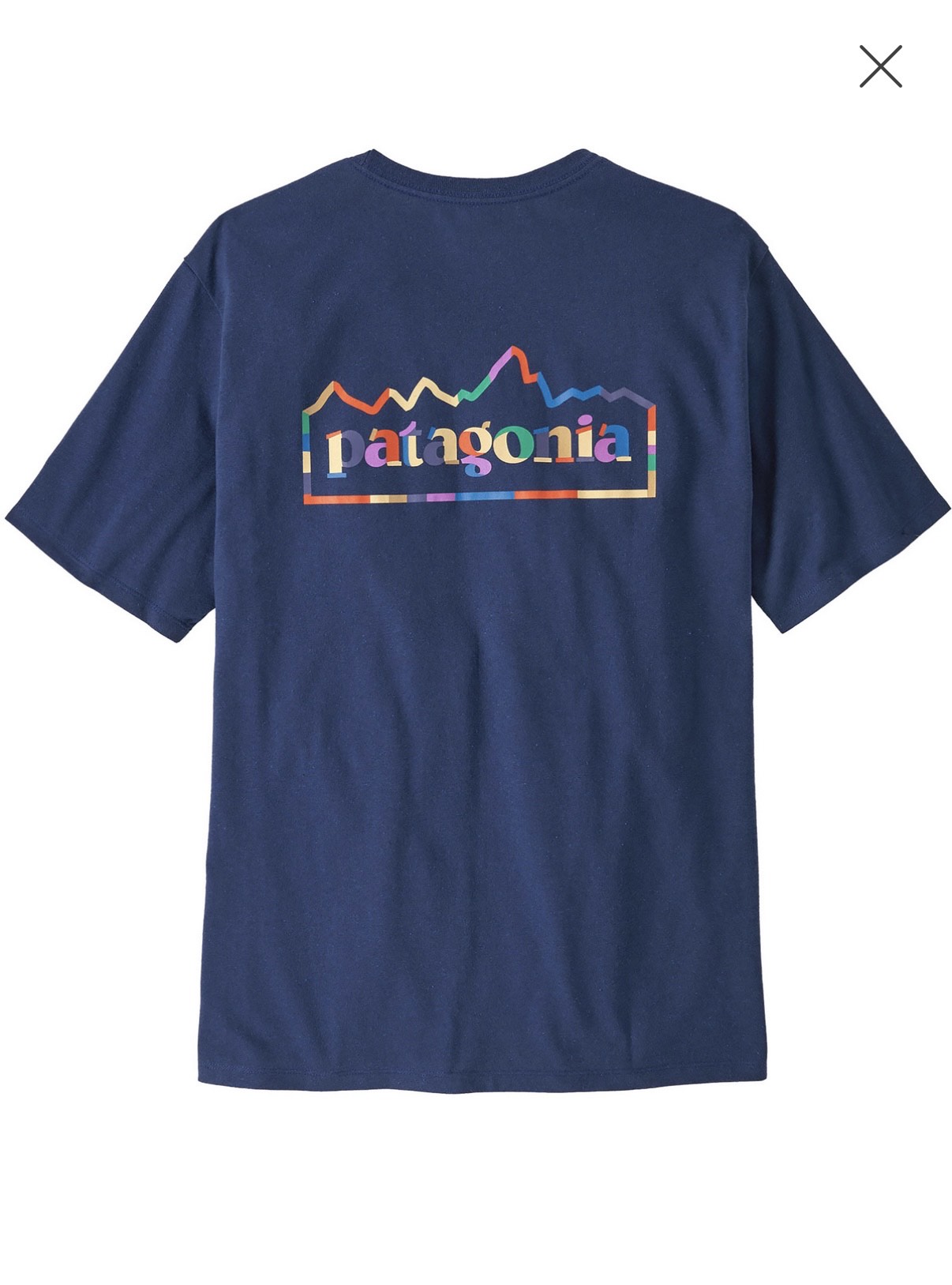 MAGLIETTA PATAGONIA Men's Unity Fitz Responsibili-Tee®
