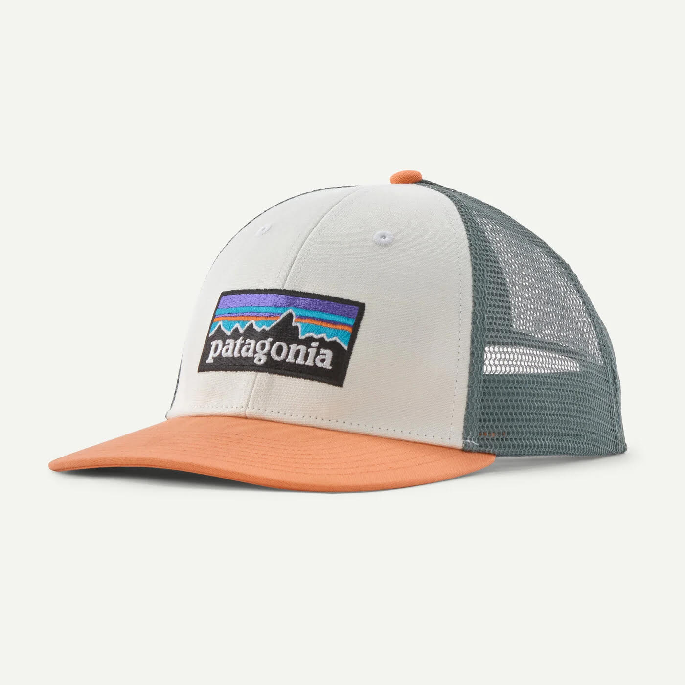P-6 Logo LoPro Trucker Hat cappellino patagonia unisex - immagine 7