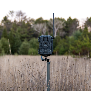 Fototrappole Stealth Cam Cellulari Fusion™ MAX 2.0