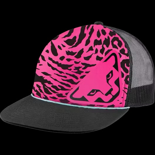 dynafit Graphic Trucker Cap