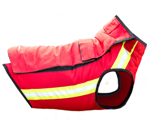 Gilet antizanna cane Solengo J45