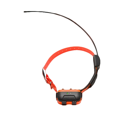 Canicom Gps 2 – Collare Aggiuntivo